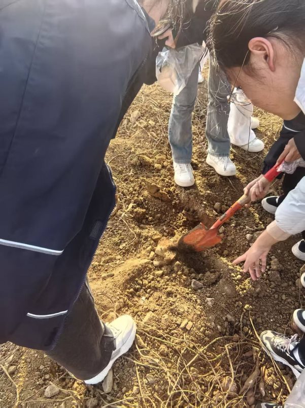 微信图片_20251124200753_133_141