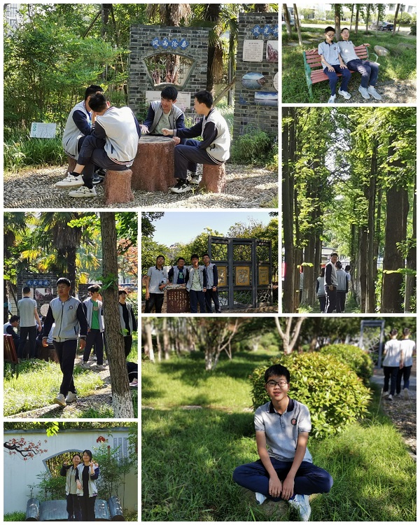 Collage_20230616_132434.jpg