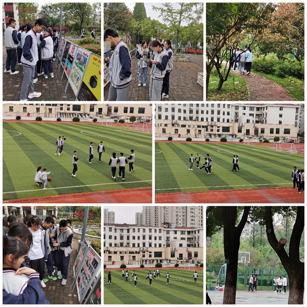 Collage_20230616_154423.jpg