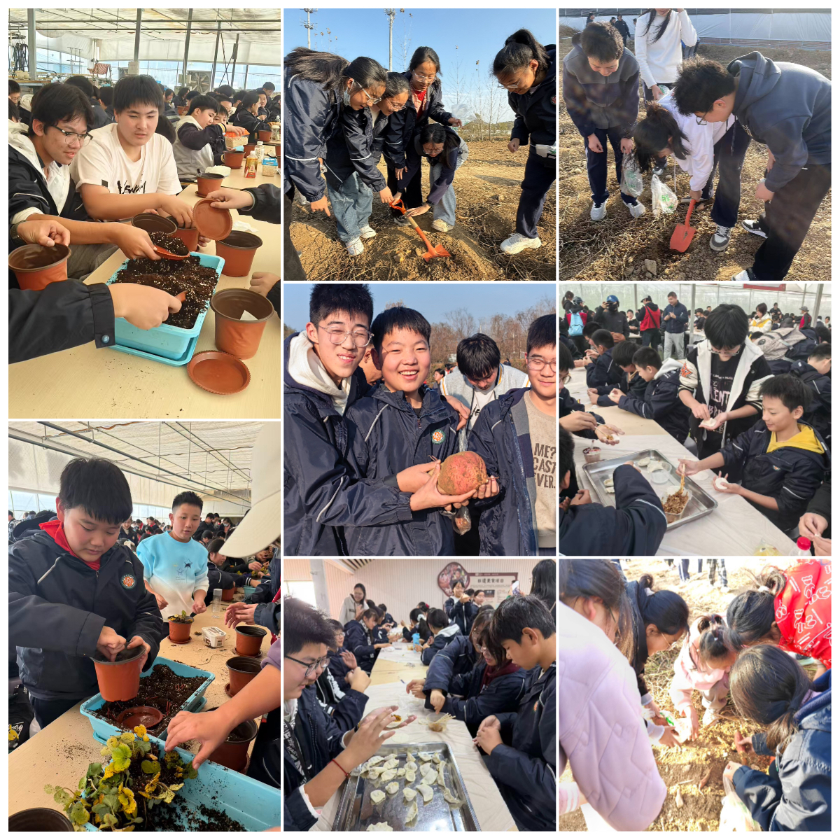 下载.jpg 下载.jpg